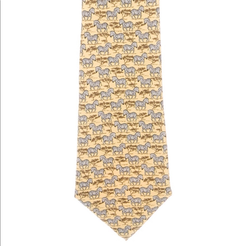 Hermès Printed Ties